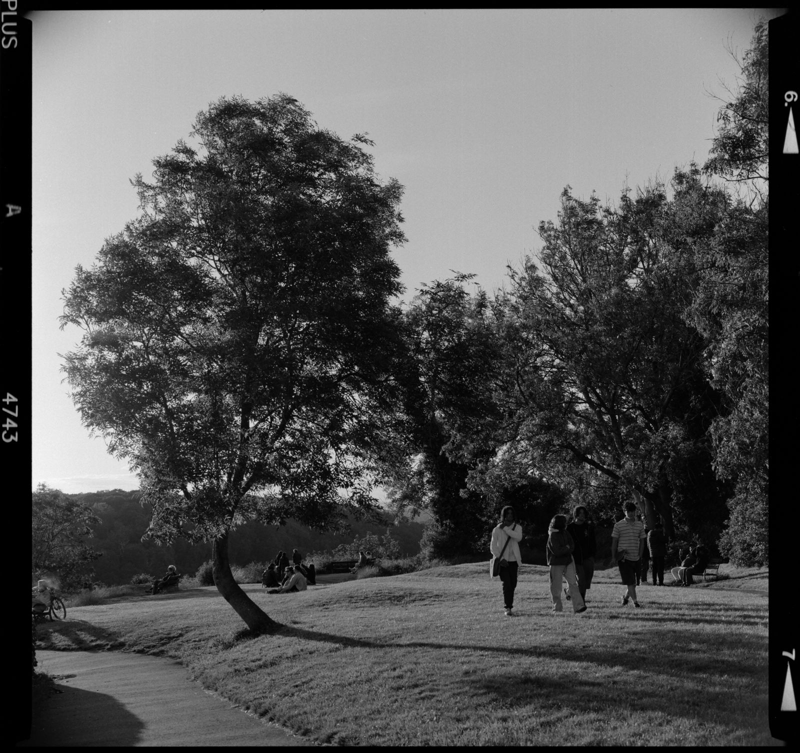 Ilford HP5