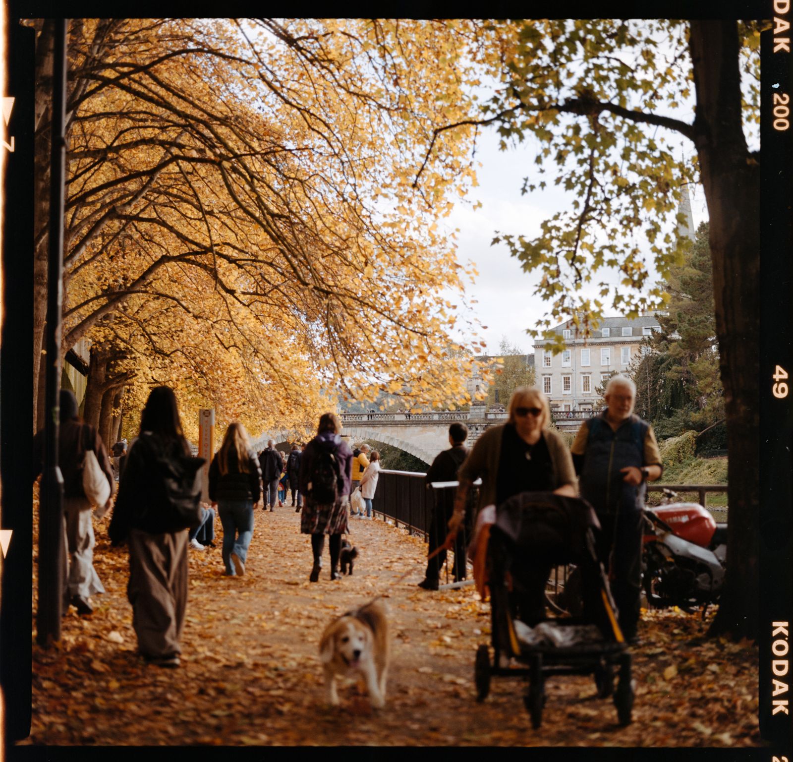 Kodak Gold