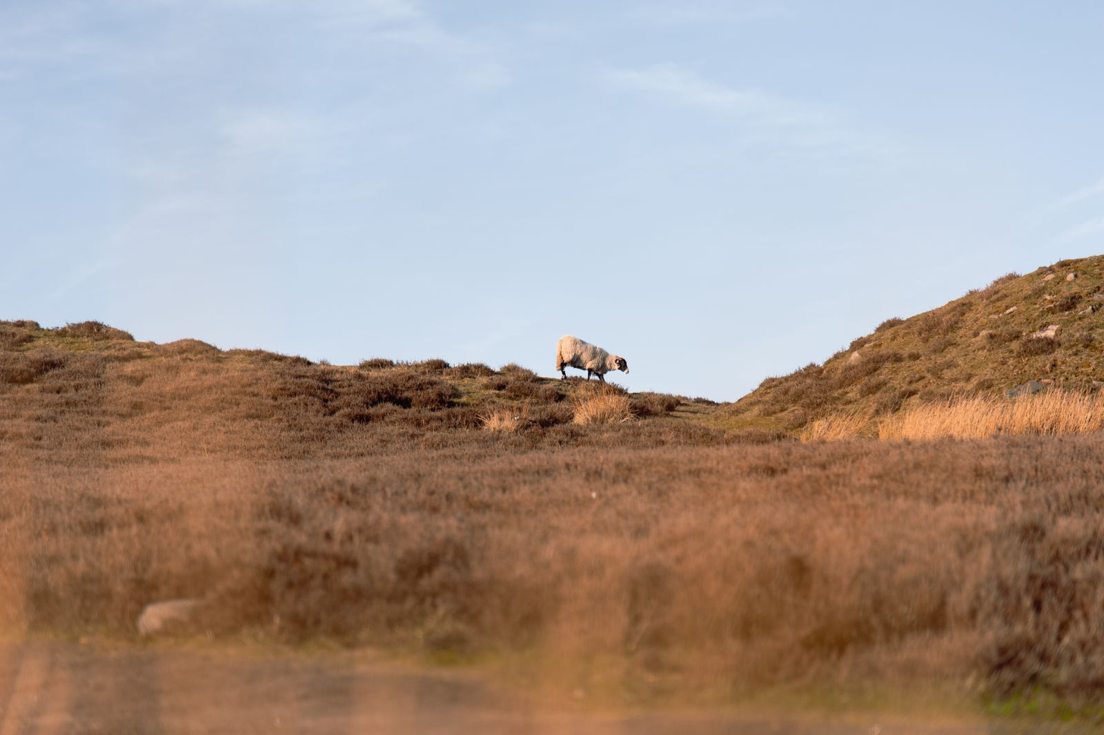 Peakdistrict