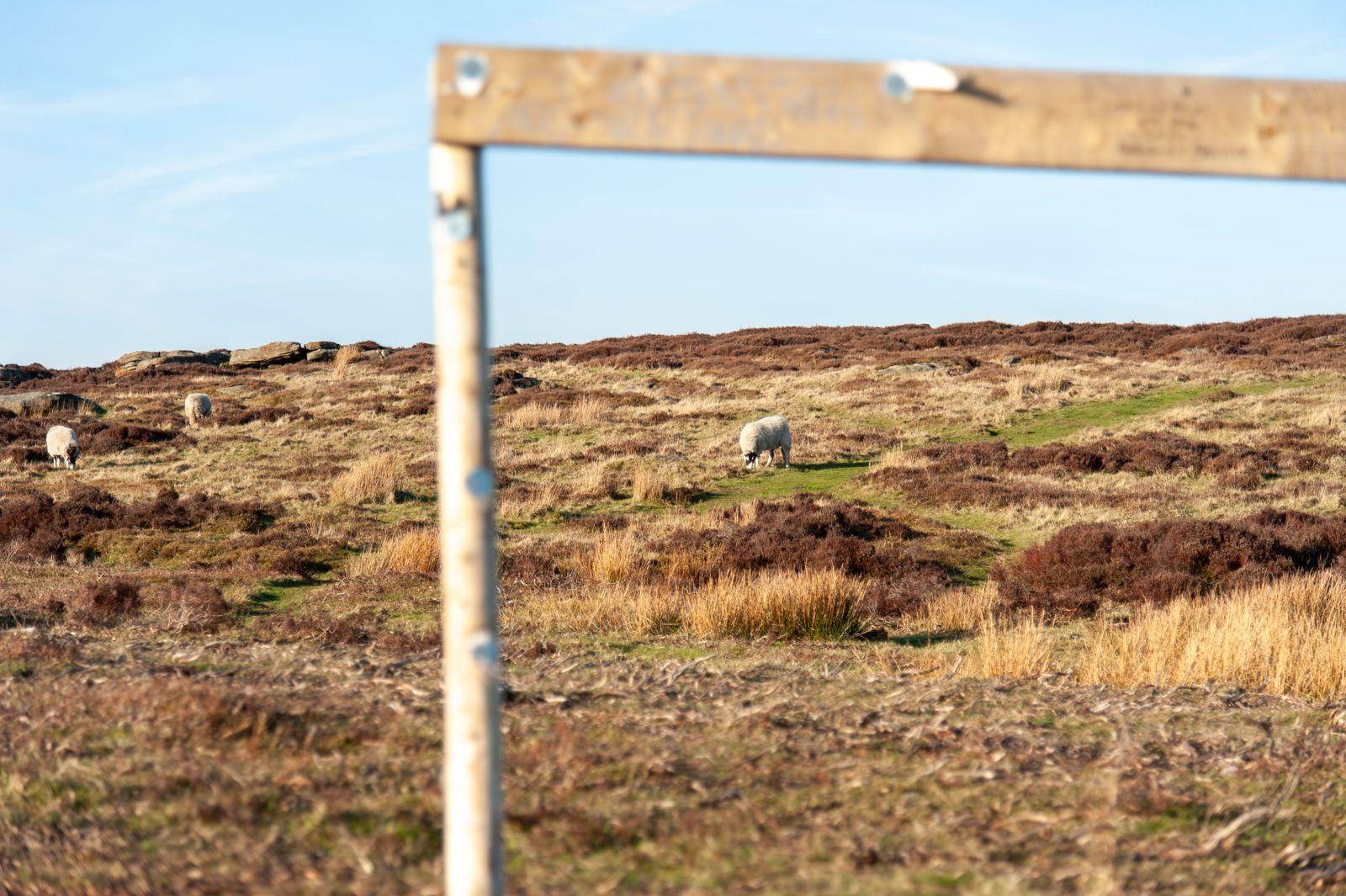 Peakdistrict